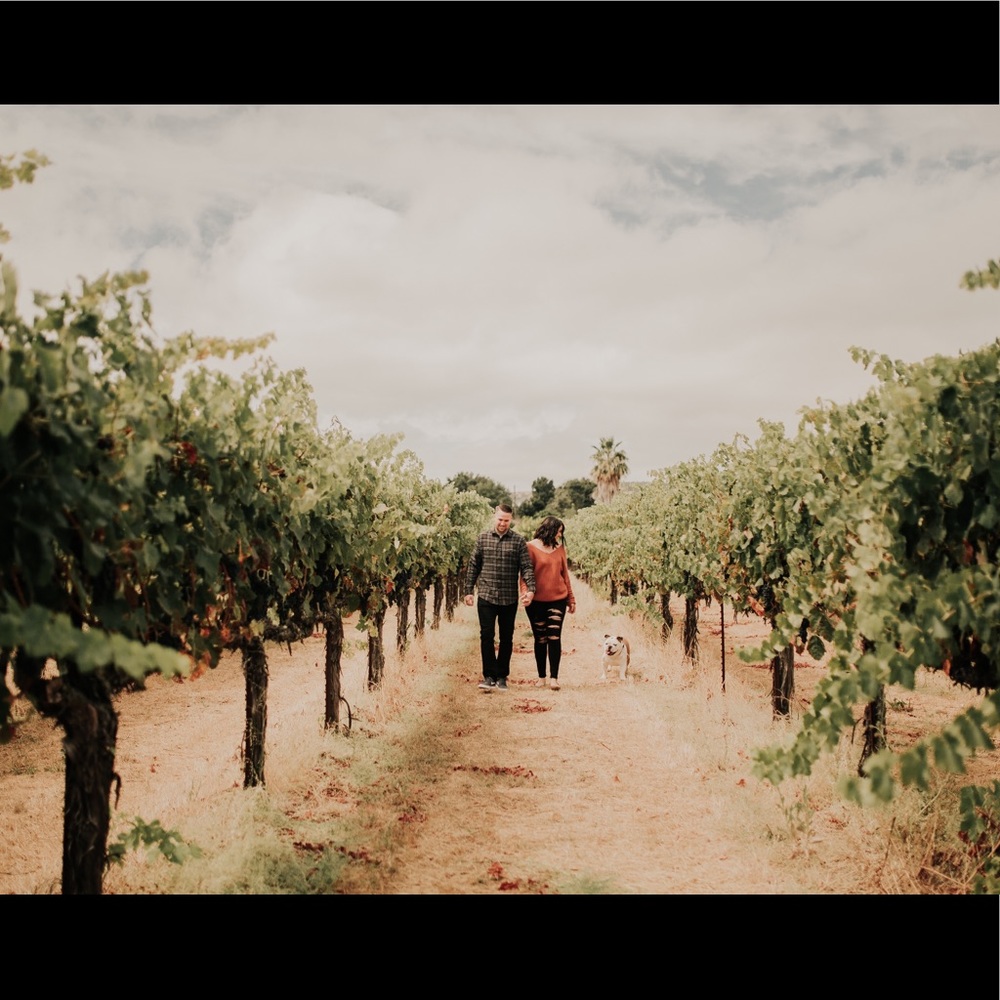 Meet your Posher, Levi